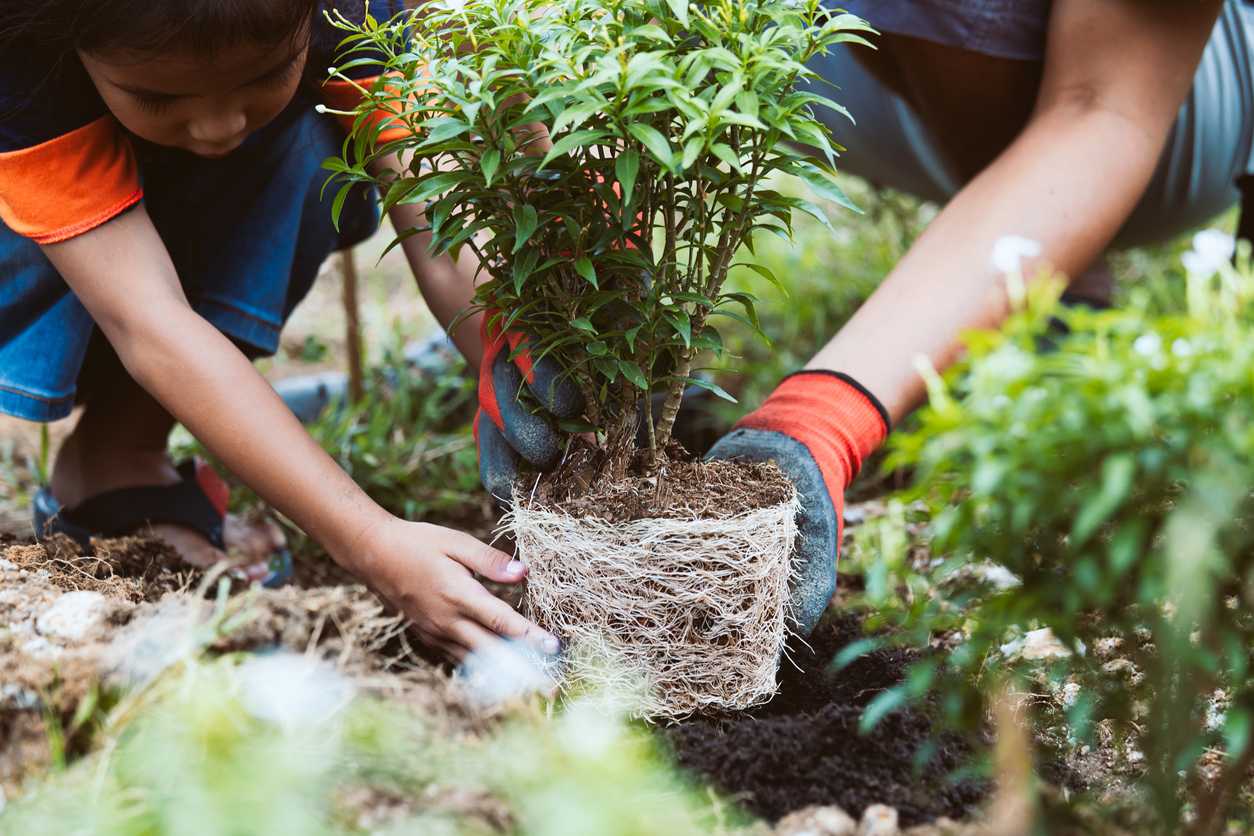 family-planting-tree