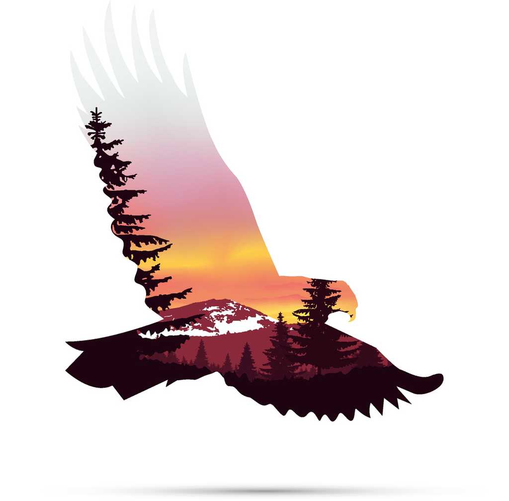 painting of eagle flying over mountain symbolizing hope