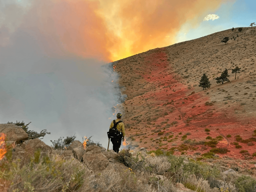 fire fighter standing on a smoldering ridge