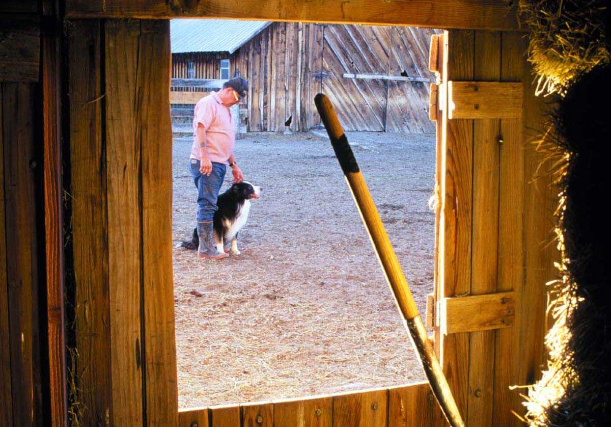 Rancher and dog