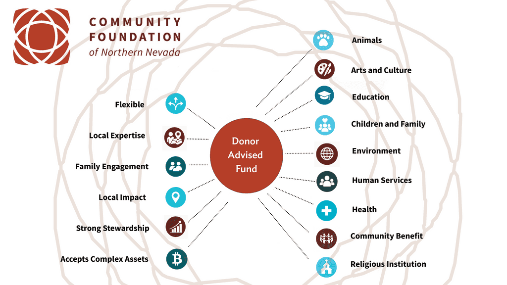 donor advised fun graph